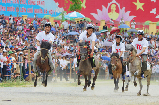 Giải đua ngựa truyền thống của người dân Bắc Hà